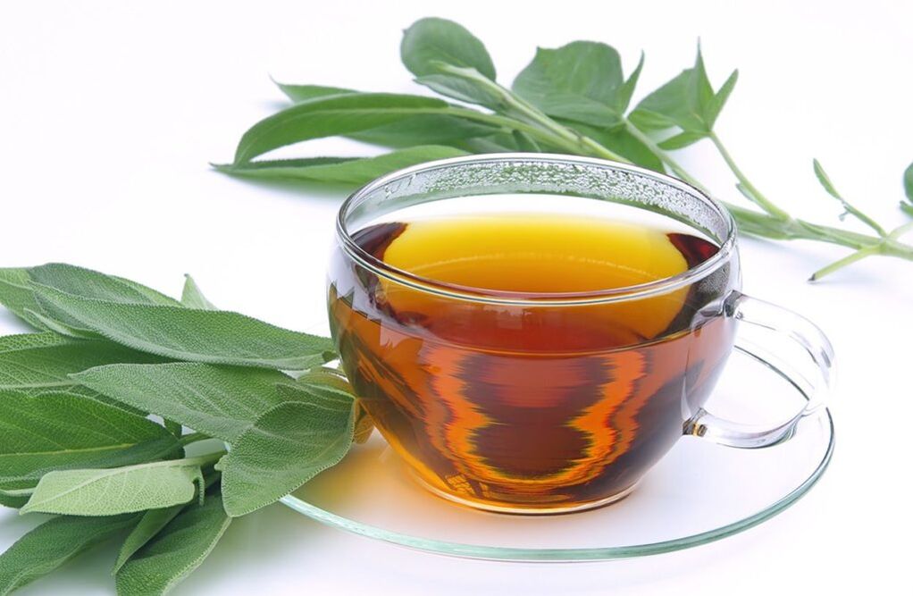 sage tea alang sa pagpadako sa dughan